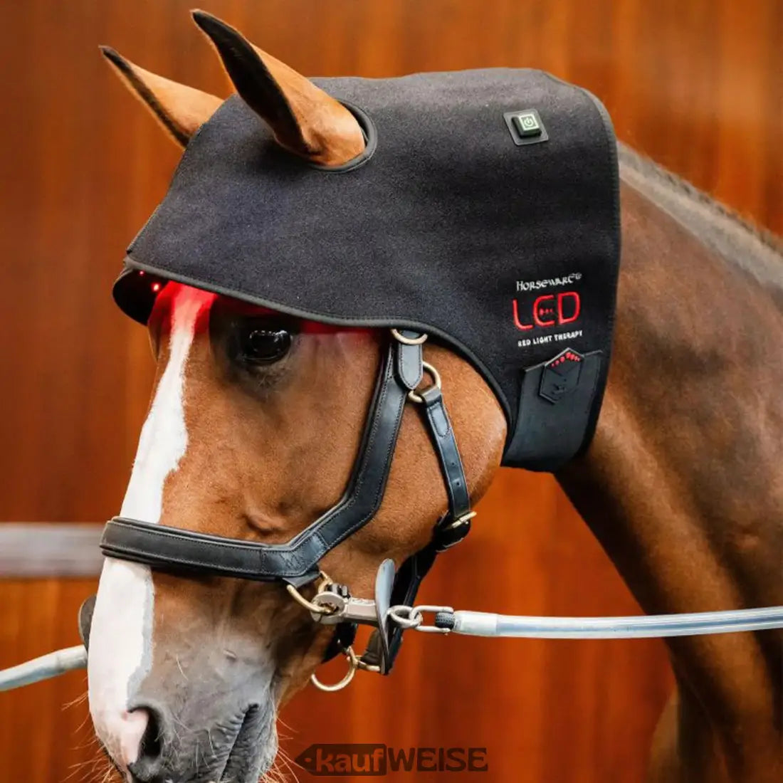 Schwarzer Stoff-Pferde-Kopfschoner mit rotem LED-Lichttherapie-Panel und Horsemarks Branding