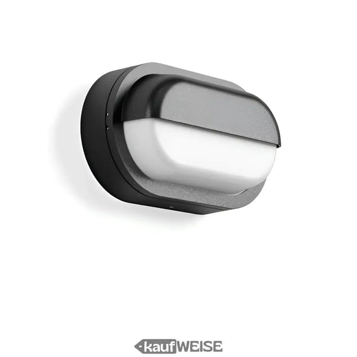 RZB Alu-Lux Owalna lampa ścienna i sufitowa LED | 582065.0031.1
